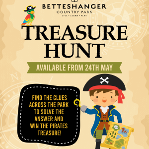 Treasure Hunt
