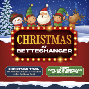 Christmas Trail at Betteshanger Park