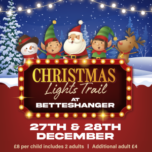 Christmas Light Trail