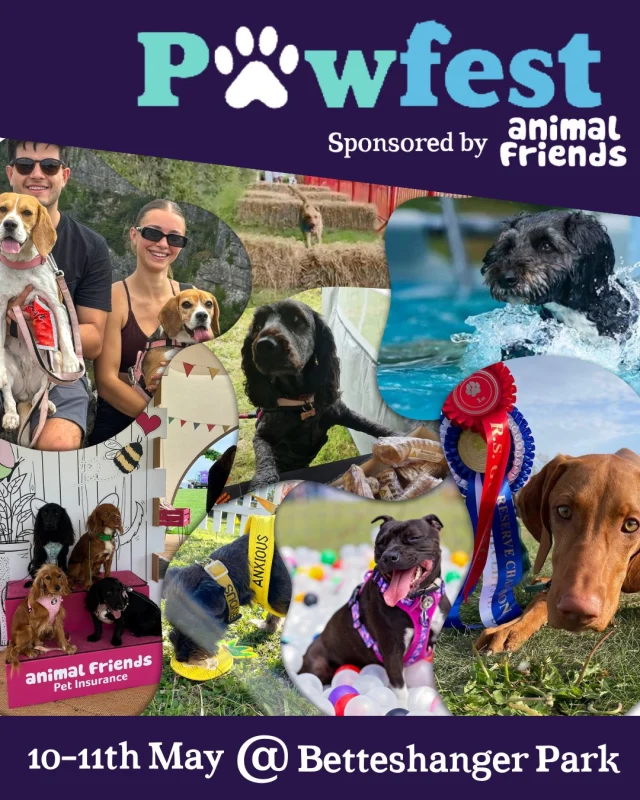 PawFest is returning to Betteshanger Park for its 4th year, and we can't wait! 🐾🎉

📅 10th-11th May 2025📍 Betteshanger Park, Kent

If your pup loves adventure, playtime, and meeting new friends, this is the event for you! Expect a weekend packed with activities, enrichment, and plenty of wagging tails. 
Sponsored by @animalfriendsinsurance 🐶💚

🐾 Here’s what’s waiting for you at PawFest 2025!

🎾 The Experience Zone – Try out fun enrichment games & challenges, sponsored by @ButternutBox
🌿 Woodland Walk & BeaglesKiko Meet & Greet (SaturdayOnly!) – Stroll through nature with Kiki & Koko (@BeaglesKiko), sponsored by @Dogiko.official
💦 The Splash Zone – Let your water-loving pup cool off, sponsored by @POFerries. 🧘 The Wellness Zone – Enjoy dog yoga and relaxation sessions for a calm and happy pup.
🎓 The Discover Zone with Adem Fehmi (@Dogtoradem) –Learn expert training tips from one of the UK’s bestbehaviourists!

🎟 Tickets start from just £20—book now at paw-fest.com!

🐶 Tag your dog-loving friends and get ready for a paw-some weekend at Betteshanger Park! 🐾💚

#PawFest2025 #BetteshangerPark #DogFestival
#TailWaggingFun #DogLoversUnite #BestWeekendEverW