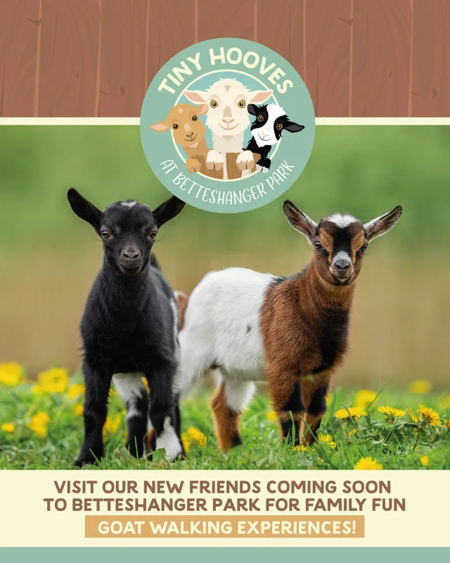 🐐 Exciting News Coming Soon to Betteshanger Park! 🐐

We’re happy to announce that a unique Goat Walking Experience is on its way to Betteshanger Park! 🏞️ Ever wondered what it's like to wander through scenic trails with a friendly goat by your side? Well, soon you'll be able to find out!

Whether you're a goat enthusiast or simply looking for a fun, nature-filled outing, this is an experience you won’t want to miss. 🐐💚

Keep your eyes peeled on our website for more details and be the first to know when booking opens. Trust us, this is going to be a baa-rilliant way to enjoy the great outdoors!

#GoatWalking #BetteshangerPark #ComingSoon #NatureLovers #OutdoorAdventures #FamilyFun

Stay tuned! 🌿