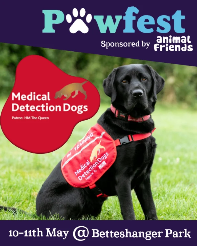 PawFest isn’t just about having a great time—it’s also about giving back! 🐾❤️

This year, 1% of all ticket sales will be donated to @MedicalDetectionDogs, our charity of the year! 🦮

💙 These incredible dogs are trained to detect diseases and even save lives—so while you and your pup are having the best weekend ever, you’re also helping a life-changing cause!

📅 10th-11th May 2025
📍 Betteshanger Park, Kent

🐕 What’s in store at PawFest 2025?

🌳 A scenic Woodland Walk with @BeaglesKiko (Saturday Only!)
🎾 Interactive play & enrichment in the Experience Zone!
💦 Water-filled fun in the Splash Zone!
🧘 Dog yoga & relaxation in the Wellness Zone!
🎓 Expert training tips in the Discover Zone!

🎟 Tickets start from just £20—book now at paw-fest.com!
🐾 Join us for a weekend of fun, adventure, and giving back!❤️🐶

#PawFest2025 #BetteshangerPark #MedicalDetectionDogs
#PawsForACause #DogFestival #DogLoversUnitePAWFEST @pawfest_dogevent