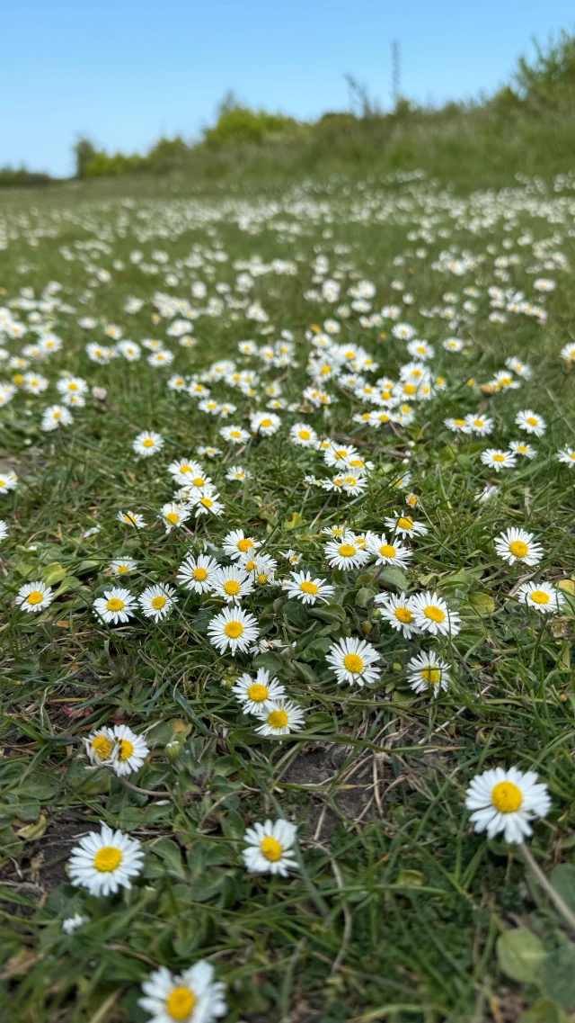 There is always something for everyone at Betteshanger Country Park 🫶🏻