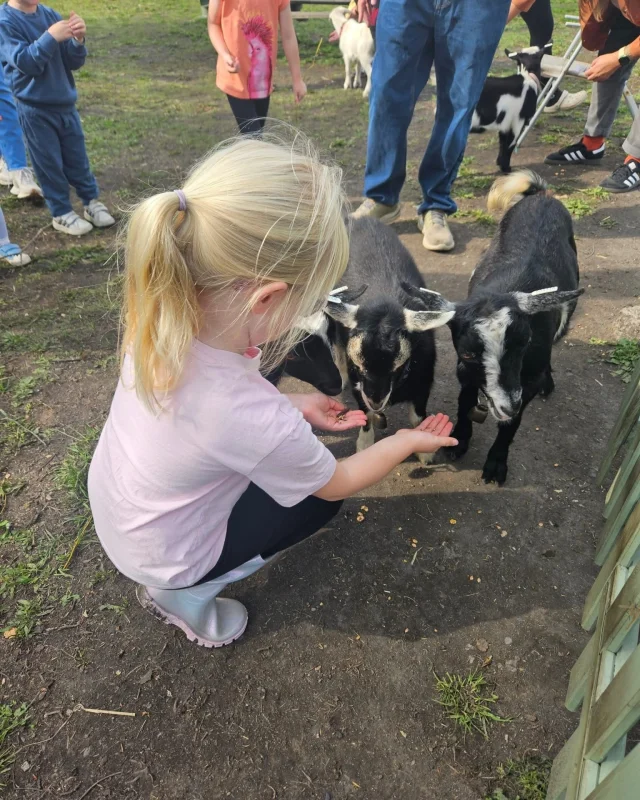 🐐🎉 Goat Birthday Parties at Betteshanger Park! 🎉🐐

Make their birthday unforgettable with our adorable goat gang!
Children will love getting hands-on as they learn about goat keeping, enjoy a gentle petting and walking session, and then head to The Lamp Room for a birthday lunch and cake.

Package Price:
£160 for up to 8 children

A fun-filled, nature-inspired birthday that’s perfect for young animal lovers! 💚

📩 To book your Goat Birthday Party, email groups@betteshangerparks.co.uk