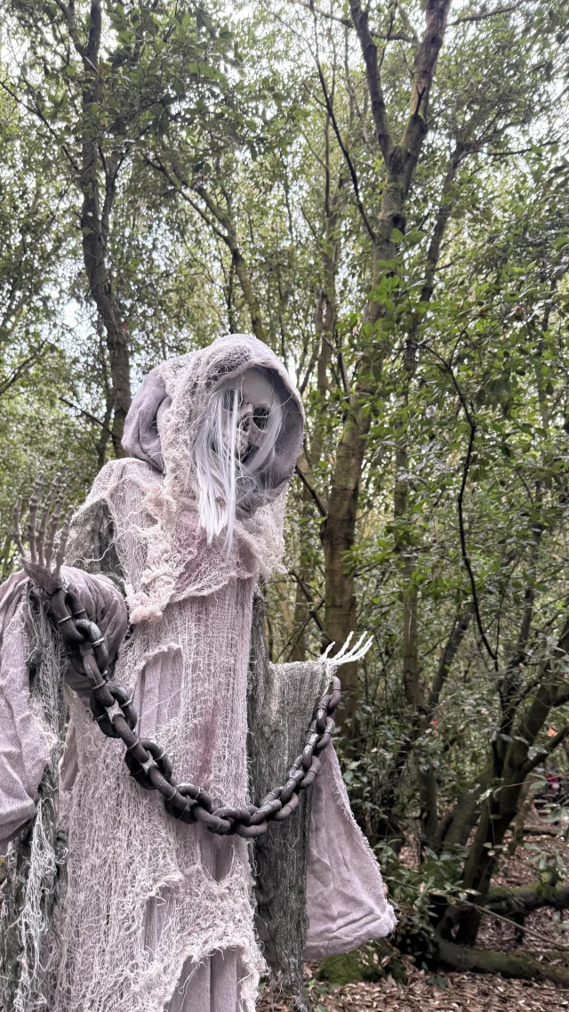 Spooky Halloween Trail at @betteshangerparks - book your tickets now through the link in bio 🎃