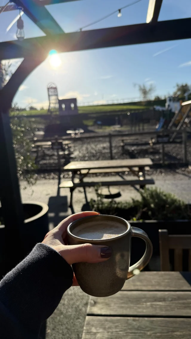 Beautiful autumn morning at Betteshanger Park 🍂