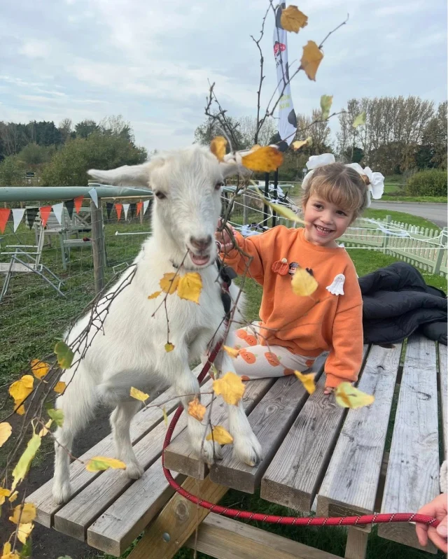 Ever tried walking with goats?
Our cheeky Pygmy goats at Tiny Hooves at Betteshanger Country Park are winning hearts every single day!

From curious cuddles to hilarious little hops, every walk is filled with laughter, joy, and just the right amount of goat mischief.

Perfect for families, friends, couples, and animal lovers alike - come and discover why everyone’s falling in love with goat walking at Tiny Hooves.

✨ Book your walk now and make some unforgettable memories.
🐐 Don’t just take our word for it — come and meet the goats yourself… they can’t wait to see you! 🐐

➡️ Book here: https://bookwhen.com/mooresdelights