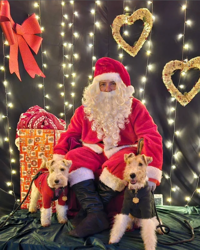 🎄🐾 Christmas magic for you & your pup!

Step into a winter wonderland at Betteshanger Park with PawFestivities: At the North Pole | Santa’s Grotto - a festive experience designed especially for dog lovers. ❤️

📍 Betteshanger Park
🎟️ Tickets available now at paw-fest.com

Make this Christmas one your furry friend will never forget. 💫🐶

#PawFestivities #DogChristmas #SantaPaws #FestiveDogs #DogEventsUK #BetteshangerPark #DogFriendlyKent #ChristmasForDogs #PawFest #DogLoversUK #santagrottofordogs 
@pawfest_dogevent