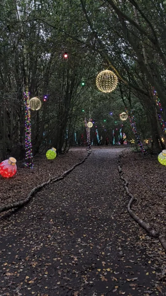 It's that time of year ✨

Our Christmas trail kicks off this weekend with PawFestivities and we can't wait to welcome you 🎄

Secure your spot now and avoid disappointment 🌟

#christmas #christmastrail