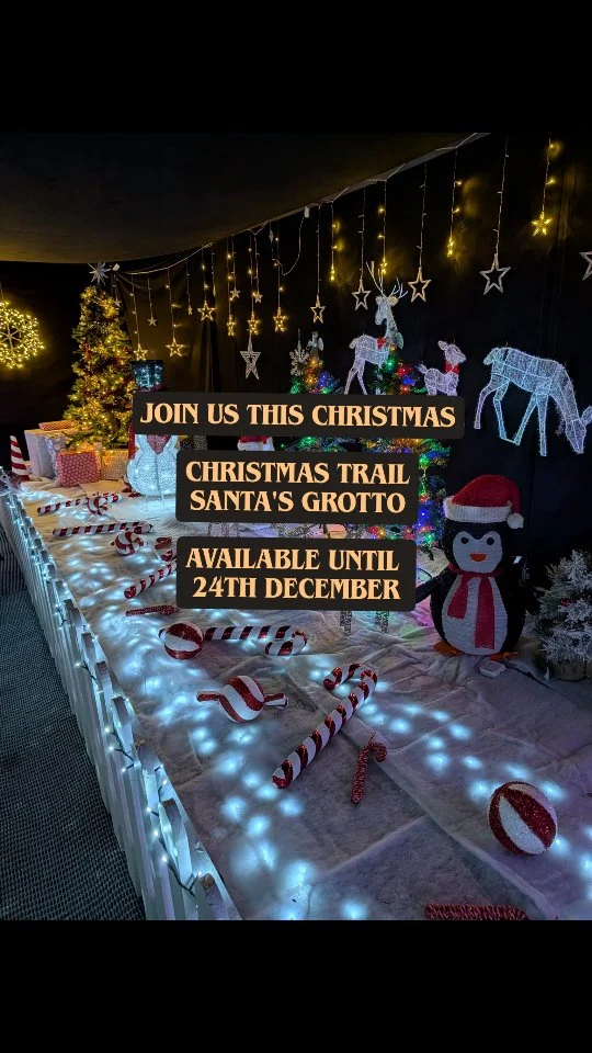 Only 4 sleeps until Santa's here 🎅

We're counting down those last magical days until Christmas Day is here. 

#christmas #christmastrail #december #kent #dealkent