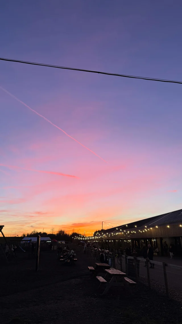 Christmas light trail, Santa’s Grotto, Festive meals and goat walks with lanterns - all at Betteshanger Park 🎄

We are looking forward to welcoming you at the Park ✨