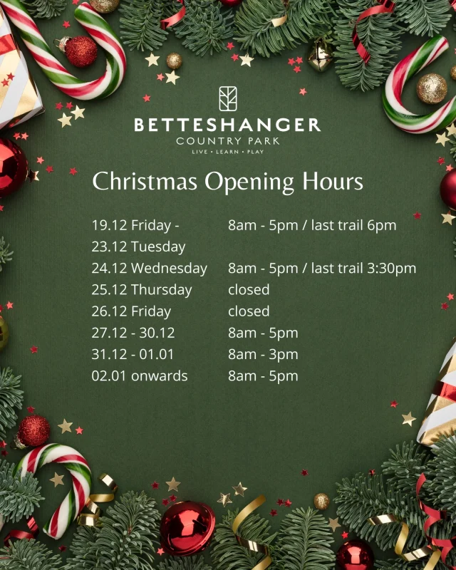 Betteshanger Park Opening Hours 🎄💫✨