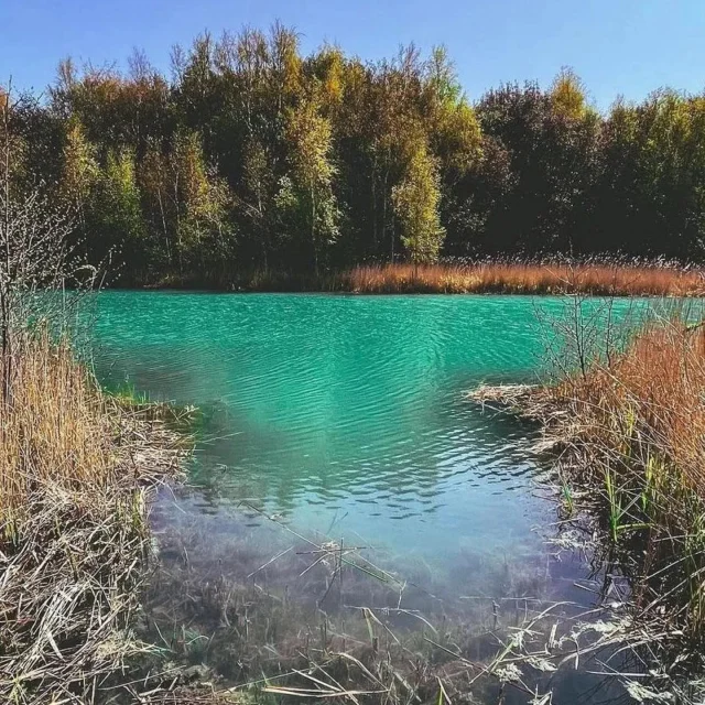 A new year is the perfect time to step outside, slow down and explore something new.

At Betteshanger Country Park you’ll find fresh air, open space and time well spent — whether it’s a quiet walk, time with family or simply enjoying the landscape.

Here’s to a year of getting outdoors and making the most of it.

#DiscoverBetteshanger #betteshangercountrypark #get #outdoor #getoutdoor #getoutdoors #openspace #explorekent