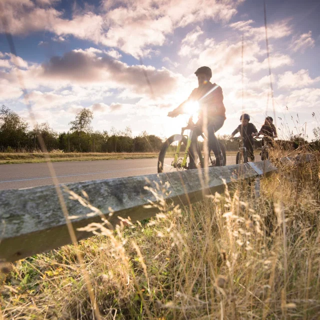 🚴 Cycling Returns to Betteshanger Park

We’re pleased to confirm that cycling provision at Betteshanger Park reopens from Saturday 14 February.

The mountain bike trails will reopen in stages, starting with the 8km Blue Route only.
Bike hire will also reopen on the same date.

All cycling facilities are now under the care of The Betteshanger Bike Project, bringing renewed focus to the future of cycling at the park.

Further trail updates will be shared soon.

#mountainbiking #mtb #cyclinguk #ridelocal #betteshangercountrypark #trail #riding #trailriding #getoutdoors #explorekent