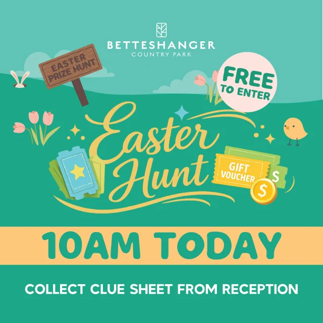 The Easter Egg Hunt goes LIVE at Betteshanger this morning…

👉 To enter, simply collect your clue sheet from Reception and head out into the park

🥚 Eggs are hidden across the site
🎁 Some contain prizes… and once they’re gone, that’s it!

🎁 PRIZES UP FOR GRABS
🐾 Pawfest – Family Ticket
🎸 Betteshanger Rocks – Weekend Family Ticket (with camping)
🏹 Archery Session – Group of 6
👶 Toddler Group Session
🌳 Holiday Club – Free Day
🐐 Tiny Hooves – Goat Walking Experience
🐐 Tiny Hooves – Goat Petting Experience
🎃 Halloween Trail – Family Tickets
🎄 Christmas Trail – Family Tickets
🚴 Betteshanger Bike Project – Free Bike Hire
🎨 Colour Assault Course Challenge – Entry
🏕️ Heritage Sprint – Family Camping
🍺 Chilli Hop Cider Festival – 2 Adult Tickets
🚜 Motor Mule – Family Ticket
💪 Boonies Family Mission – Voucher
🎖️ Salute to the Forces – Family Ticket
🍔 Food Vouchers
⚠️ One prize per family
⚡ Once the winning eggs are found… that’s it
📍 Betteshanger Country Park
⏰ Starts 10AM
👉 Don’t be late