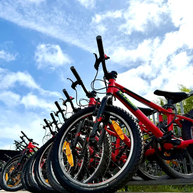 🚴‍♂️ Ready, set, gooooo!

Bike hire at Betteshanger Park is good to go - whether it’s a family ride, a quick blast round the track or something a bit more adventurous 👀

All run by the brilliant team at the Betteshanger Bike Project 🙌

👉 Find out more: https://www.thecanterburybikeproject.co.uk