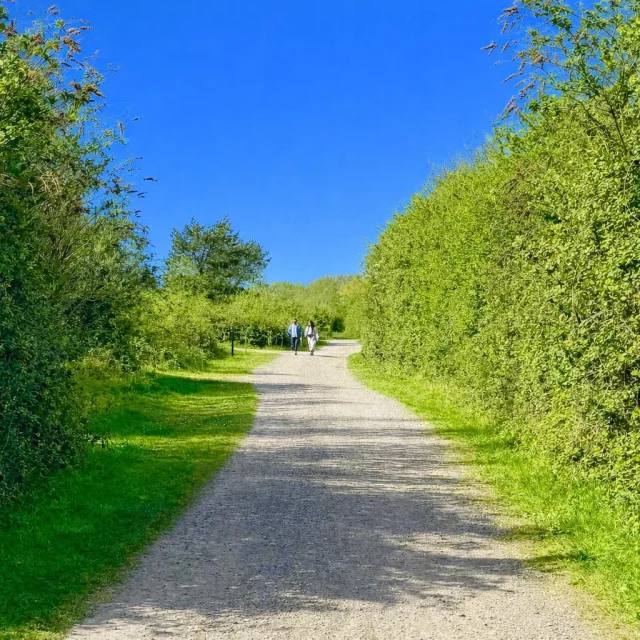 Whether it’s a quick wander or a full afternoon out, there’s nothing better than stretching your legs surrounded by nature.

Our perfect day looks like this:

☕️ Grab a coffee from Moore Delights
🚲 Hire a bike from The Canterbury Bike Project
🐐 Meet our Pygmy goats at Tiny Hooves
⛏️ Learn something new in the Kent Mining Museum
🛝 Let the kids loose in the Play Park

There’s lots of fun to be had and Betteshanger Park is here for you.