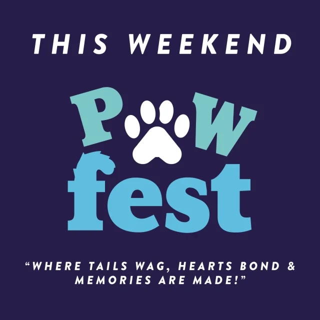 🐶 Pawfest lands at Betteshanger Park this weekend!

If your dog loves being out and about, this is their kind of weekend. Expect loads of dog stalls, displays, treats, activities, food, drinks and plenty going on around the park all day.

Whether you’re bringing a tiny terror, a muddy maniac or the most well-behaved dog in Kent… everyone’s welcome. 🐾

Good food, good atmosphere, loads of dogs and hopefully some sunshine too.

📅 This weekend
🎟️ https://www.betteshanger-park.co.uk/event/pawfest/

Tag the person whose dog definitely thinks they’re the main character 👇

#Pawfest #BetteshangerPark #DogDayOut #KentEvents #DogFriendly #DealKent #DogsOfInstagram