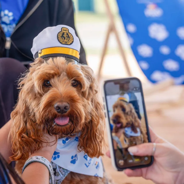 What a day yesterday was 🐾☀️

PawFest got off to a brilliant start at Betteshanger Park with loads of dogs, plenty of sunshine and a really great atmosphere all day.

There’s loads happening again today with stalls, activities, demos, food, drinks and lots to keep both humans and dogs entertained 🐶🍔🍦

Big thanks as well to our friends at P&O Ferries for sending over some great photos from Day 1 💙

If you didn’t make it yesterday, come down and join us today!

Tickets and info: www.paw-fest.com