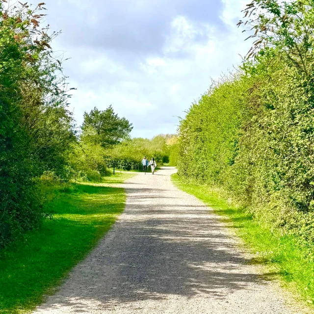 Whether you’re out for a peaceful woodland walk, a family bike ride or a proper off-road adventure, there’s no better place to explore than Betteshanger Park 🚴‍♂️

With miles of scenic cycling and walking trails, hidden nature spots, open landscapes and fresh air all around, it’s the perfect excuse to get outside and move.

Bring the bikes, walking boots, dogs or the whole family and make a day of it!