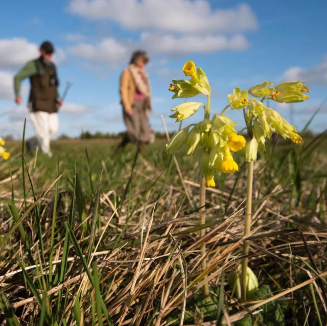 🌿 Need a break from the noise?

Swap screens for scenery and spend some time in nature at Betteshanger Park. Whether it’s a walk, a bike ride or simply a moment to breathe…the Park is looking beautiful right now. 🍃

#BetteshangerPark #GetOutside #ExploreMore #LoveNature