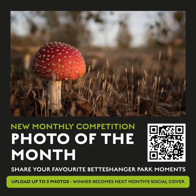 LAST CHANCE TO ENTER THIS MONTH! 📸 

A huge thank you to everyone who has already submitted their entries for our first Betteshanger Park Photo of the Month competition...we’ve loved seeing your amazing shots so far!

The competition closes tonight at 11:59pm.

If you’ve captured a brilliant view, wildlife encounter or special moment at the Park during August, you can still submit up to three photos for the chance to have your winning image featured as our social media cover throughout September.

Enter before the deadline 👉 https://tally.so/r/5B0LzQ

Photos must be your own and taken at Betteshanger Park. Entrants must be aged 18 or over and drone photography is not permitted.

We can’t wait to choose our first winner!

#BetteshangerPark #PhotoOfTheMonth #KentPhotography #VisitKent