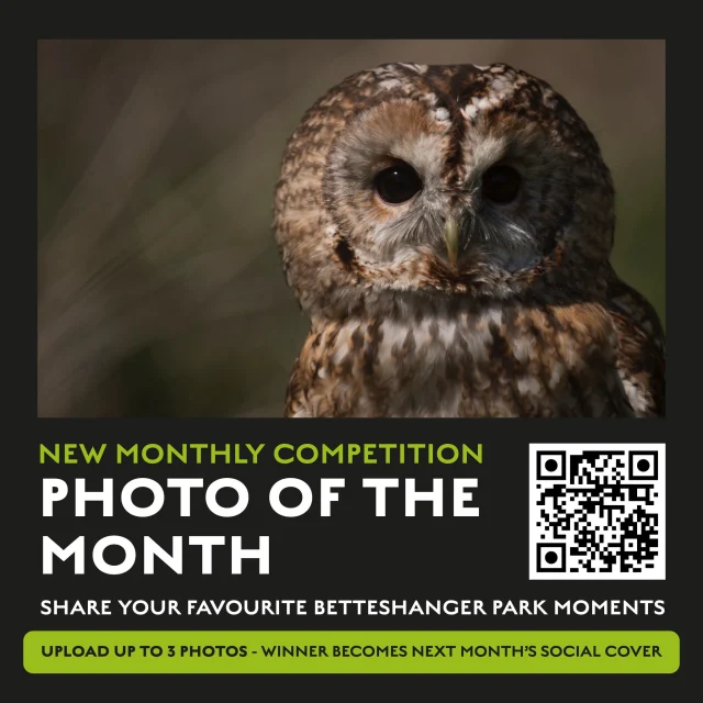 What have you spotted at Betteshanger Park lately? 📸

It could be a beautiful view, an unexpected wildlife encounter, a changing season or simply a moment from your visit that made you stop and take a photo.

You can submit up to three photographs to our new monthly competition. The winning image will become our social media cover photo for the following month, with full credit to the photographer.

Enter here 👉 https://tally.so/r/5B0LzQ

Photos must be your own and taken at Betteshanger Park. Entrants must be aged 18 or over and drone photography is not permitted.

Show us the Park through your eyes! 🌿
#BetteshangerPark #PhotoOfTheMonth #KentPhotography #KentWildlife #VisitKent
