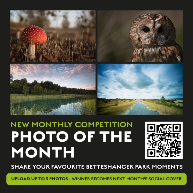 📸 NEW: BETTESHANGER PARK PHOTO OF THE MONTH

Have you captured a brilliant view, wildlife encounter or special moment during your visit to Betteshanger Park? We’d love to see it!

You can now enter up to three of your favourite Park photographs each month. Our winning photo will become the cover image across our social media pages for the following month, with credit to the photographer.

🌿 Photos must have been taken at Betteshanger Park
📷 Enter up to three photos each month
🏆 The winning photo becomes next month’s social cover
🚫 Drone photography is not permitted
🔞 Entrants must be aged 18 or over

Enter here 👉 https://tally.so/r/5B0LzQ

Entries close at 11:59pm on the final day of each month.

We can’t wait to see Betteshanger Park through your eyes!

#BetteshangerPark #PhotoOfTheMonth #KentPhotography #KentWildlife #VisitKent #NaturePhotography