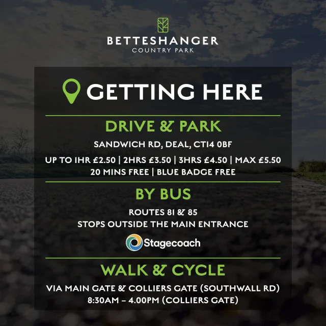Planning a trip to Betteshanger Park this summer? 🌳

Getting here is easy...whether you’re driving, catching the bus, walking or cycling.

🚗 Parking available on site
🚌 Stagecoach routes 81 & 85 stop outside the main entrance
🚶 Walk in via the Main Gate or Colliers Gate
🚲 Cycling in? There’s plenty of space to explore once you arrive too

https://www.betteshanger-park.co.uk/plan-your-visit/